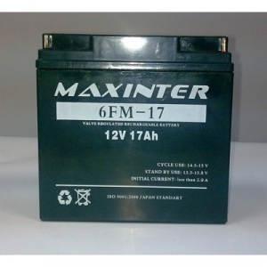 Аккумулятор для ИБП Максинтер 12V17 Ah (6FM-17)