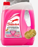 Антифриз Sibiria G12+ red -40 5 кг